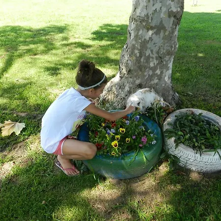 Agriturismo Zio Michele ゲストハウス *