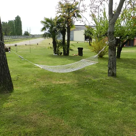 ゲストハウス Agriturismo Zio Michele *
