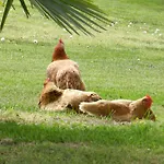 Agriturismo Zio Michele